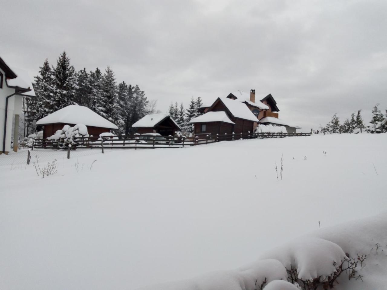 Vila Dodi Villa Bajina Basta Exteriör bild